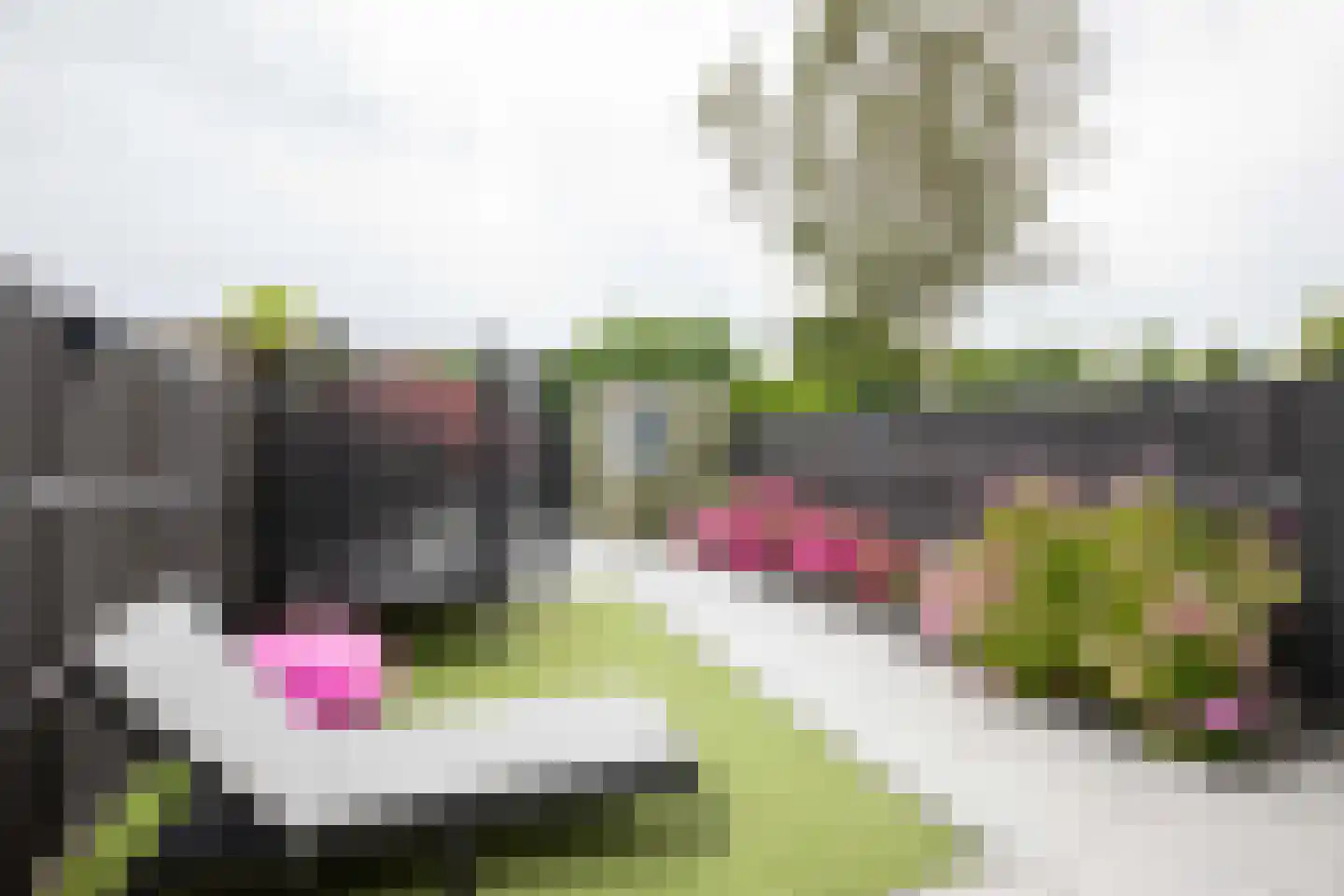 Waterhoenstraat 44 Aalsmeer thumbnail 30