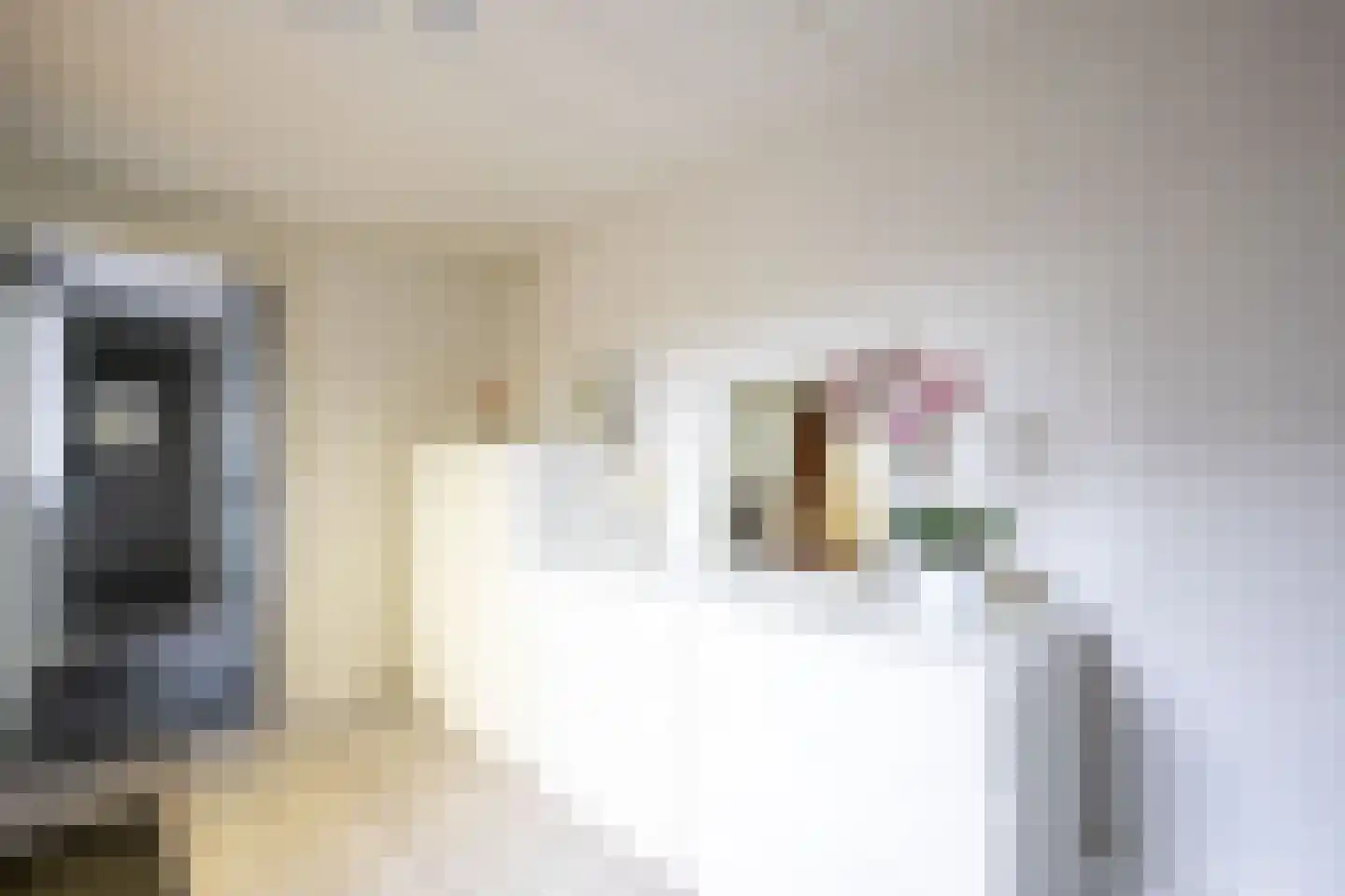 Waterhoenstraat 44 Aalsmeer thumbnail 6