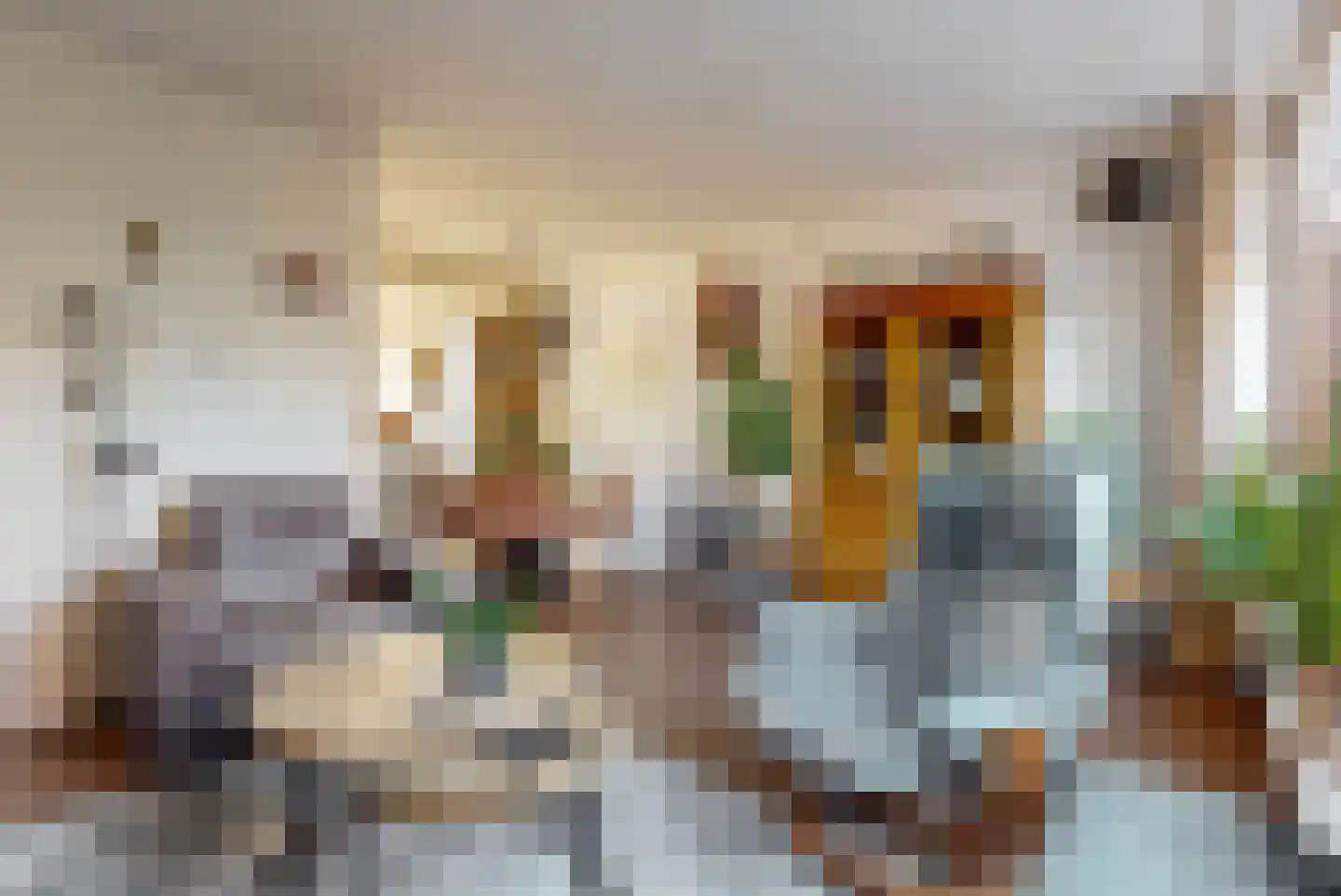 Waterhoenstraat 48 Aalsmeer thumbnail 8