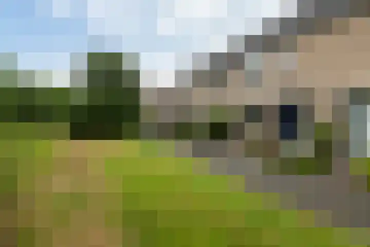 Waterhoenweide 18 IJsselstein thumbnail 6