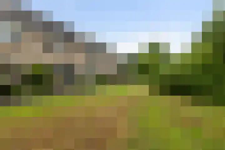Waterhoenweide 18 IJsselstein thumbnail 7
