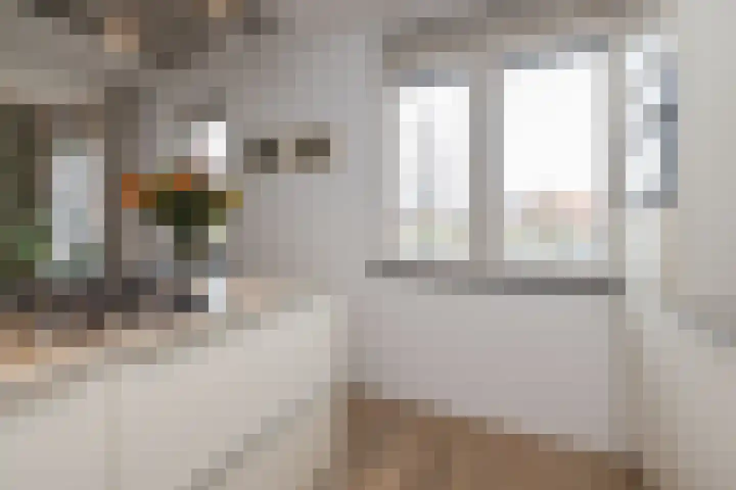 Waterhof 1 Heemstede thumbnail 15