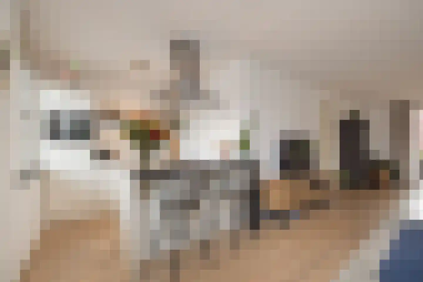 Waterhof 1 Heemstede thumbnail 9