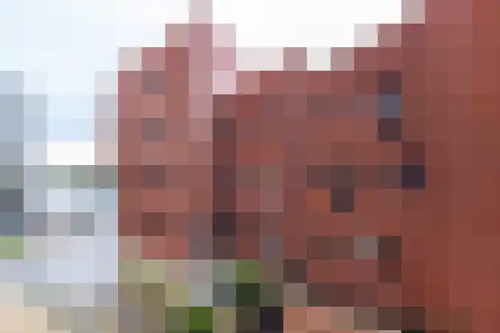 Waterhof 12 Heemstede thumbnail 16
