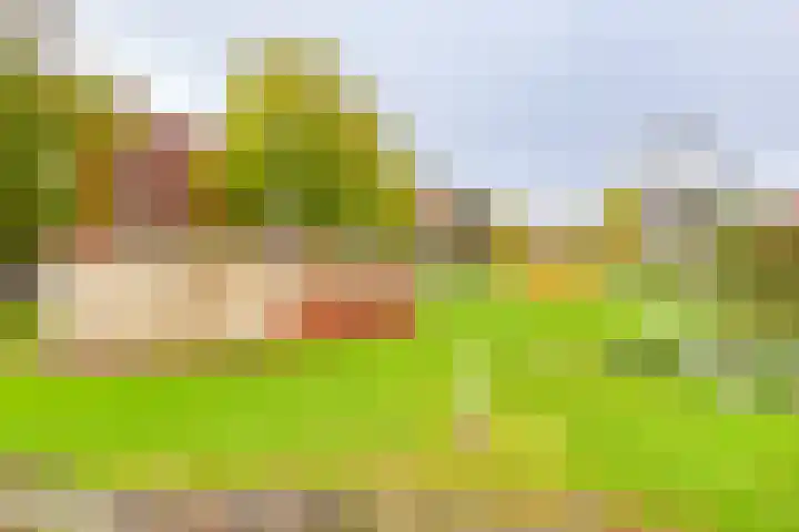 Waterhof 12 Heemstede thumbnail 36