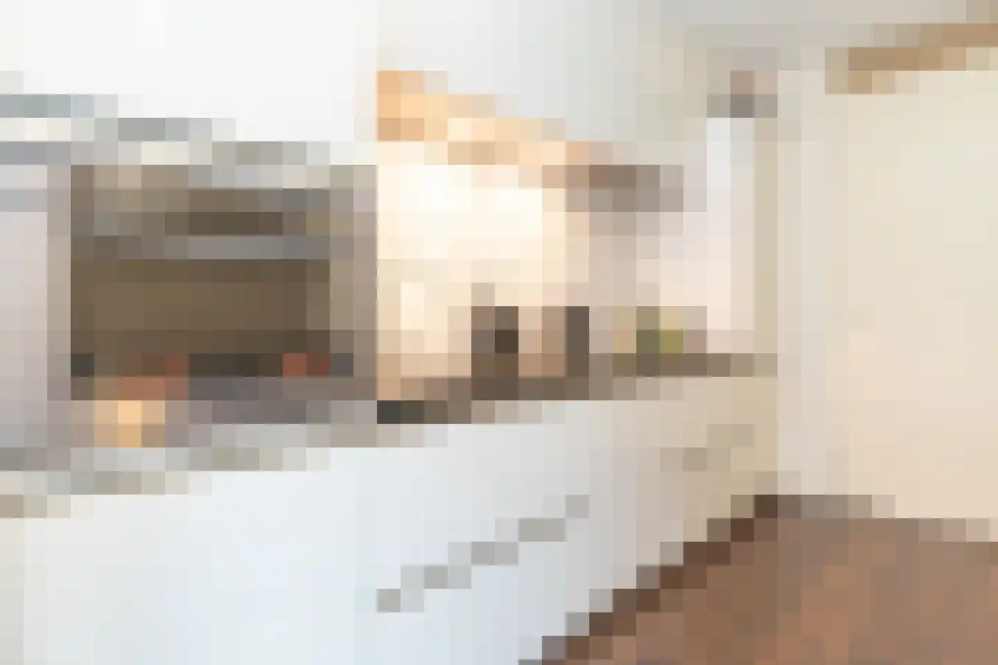 Waterhof 6 Heemstede thumbnail 16