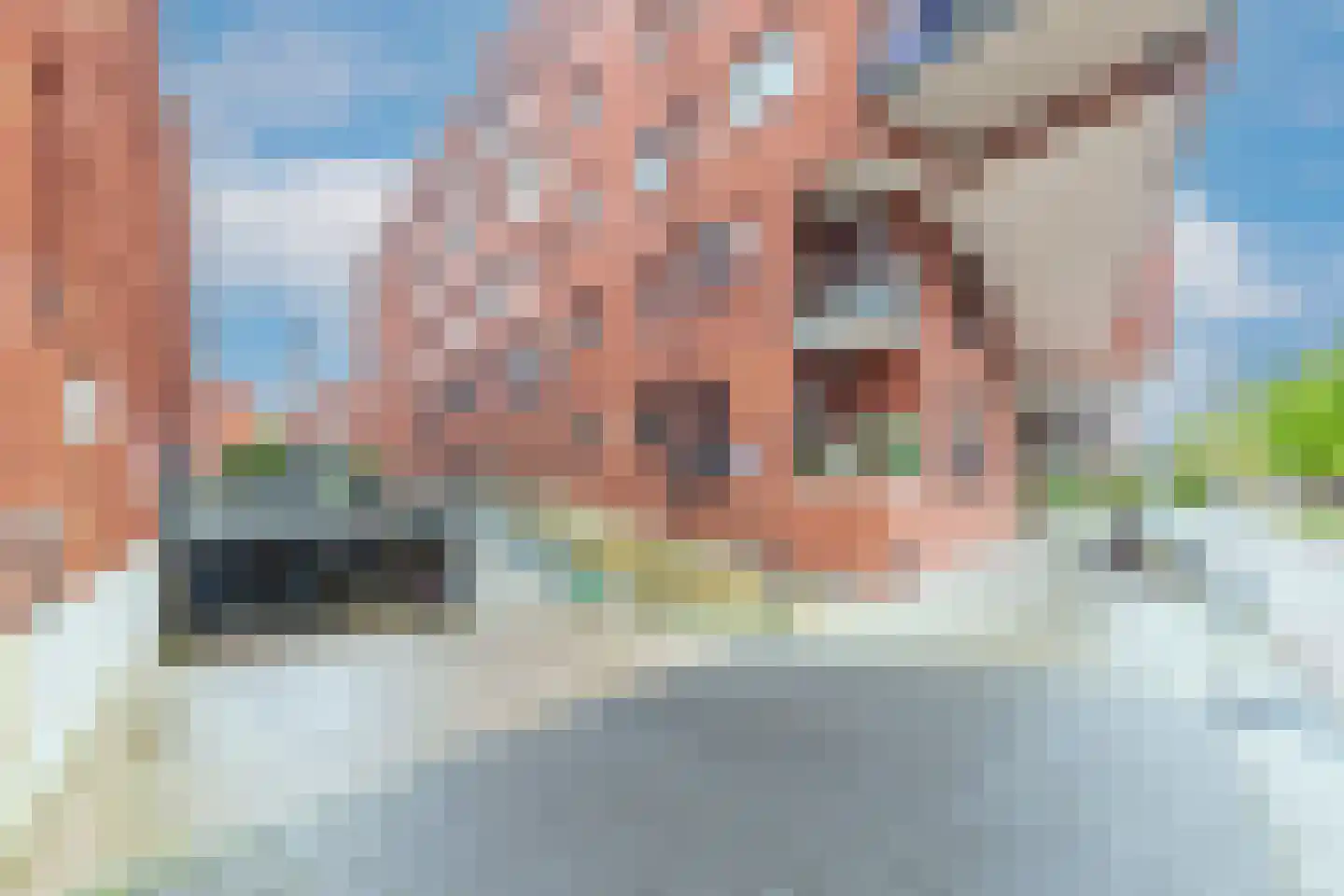 Waterhof 6 Heemstede thumbnail 7