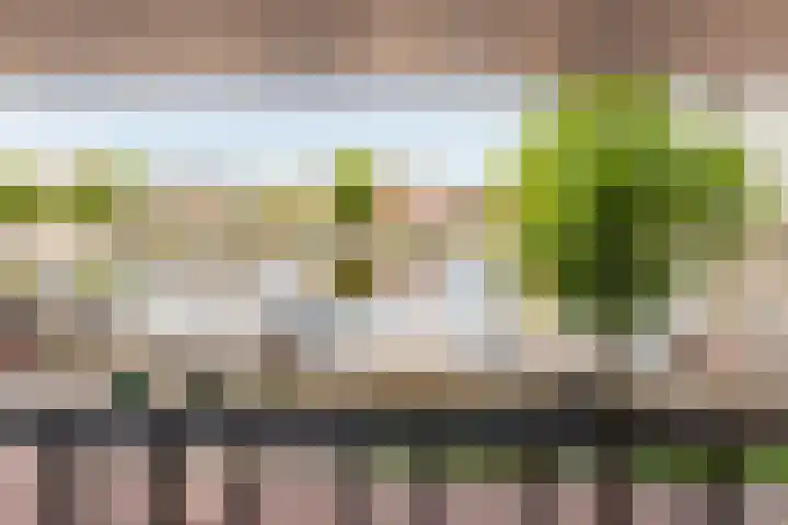 Waterhof 9 Heemstede thumbnail 17