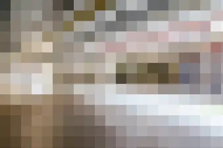 Waterhof 9 Heemstede thumbnail 19
