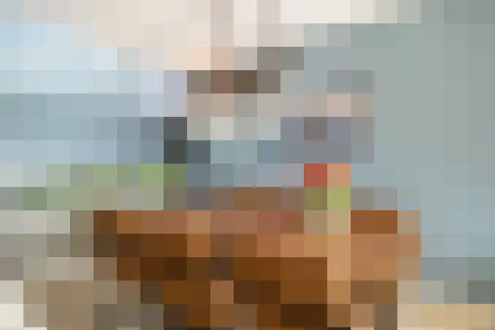 Waterhuis 12 Veenendaal thumbnail 13