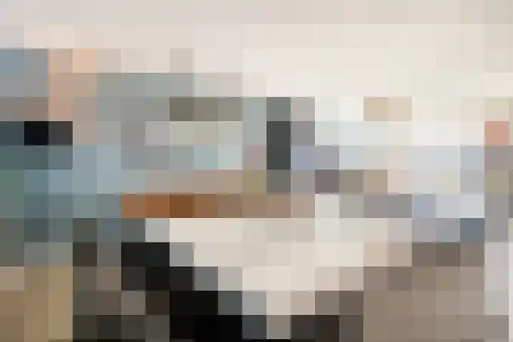 Waterhuis 12 Veenendaal thumbnail 15