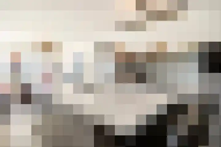 Waterhuis 12 Veenendaal thumbnail 17