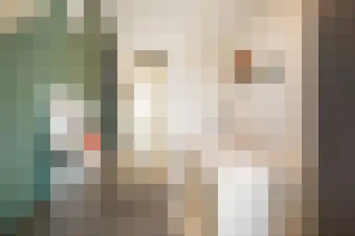 Waterhuis 12 Veenendaal thumbnail 31