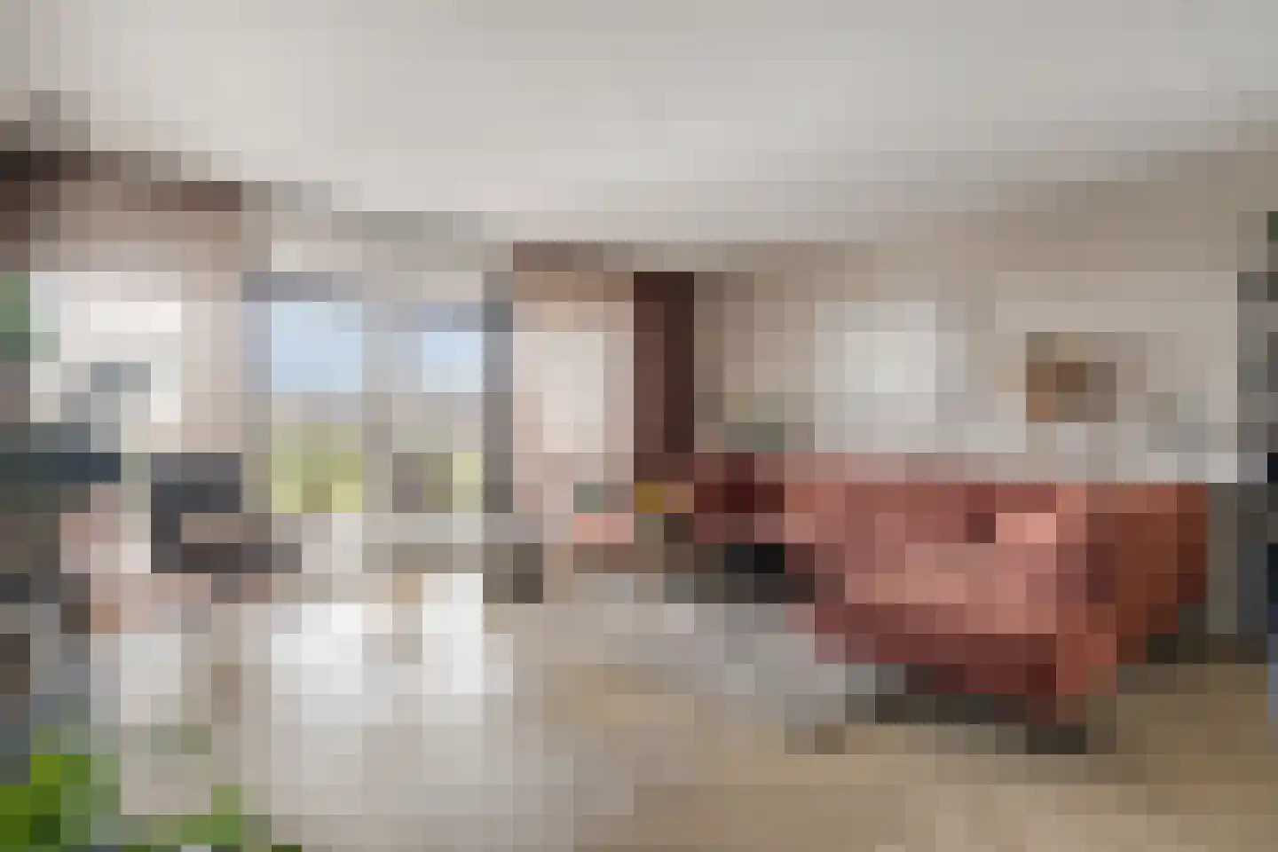 Waterhuis 14 Veenendaal thumbnail 13