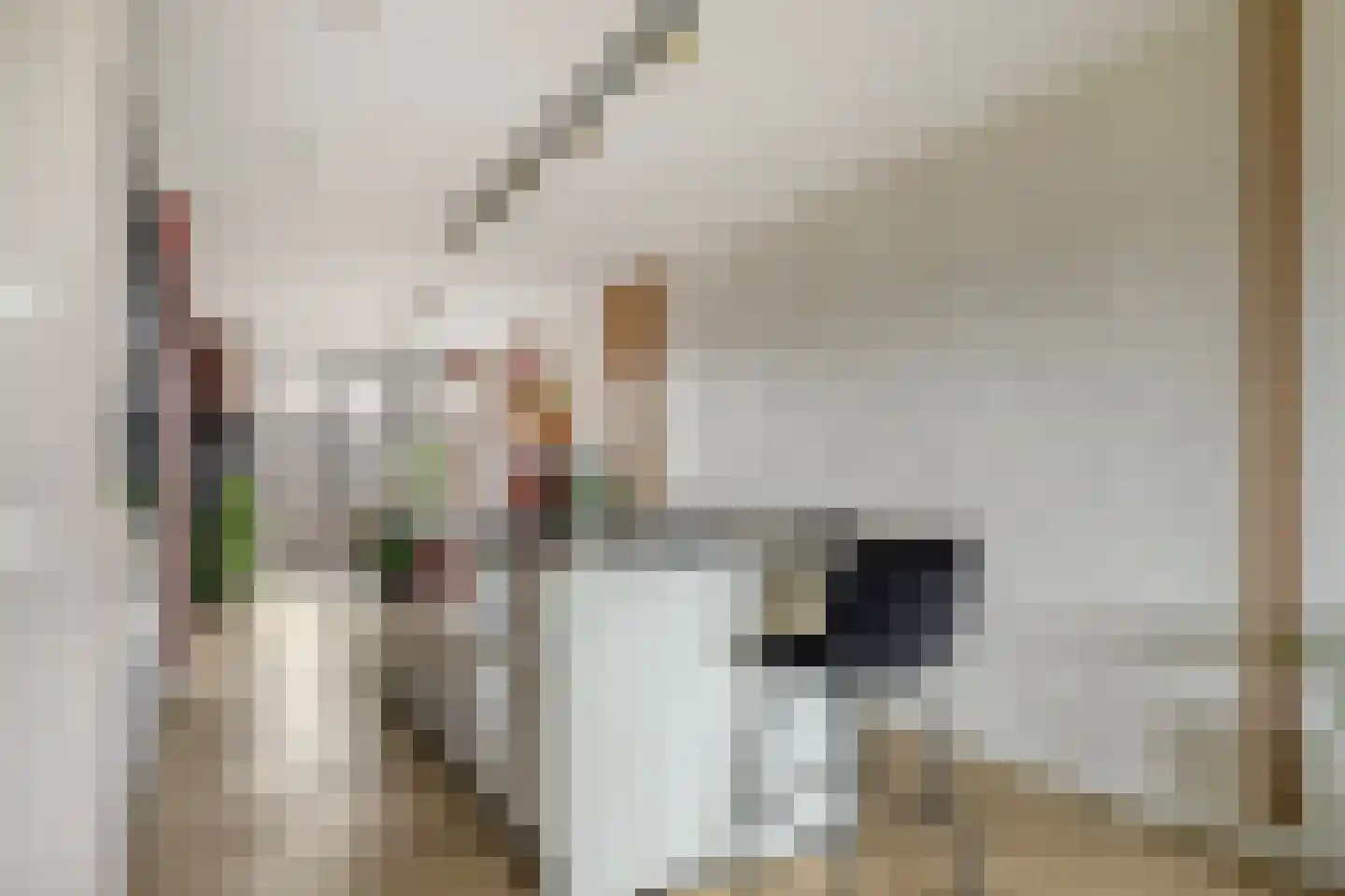 Waterhuis 14 Veenendaal thumbnail 15