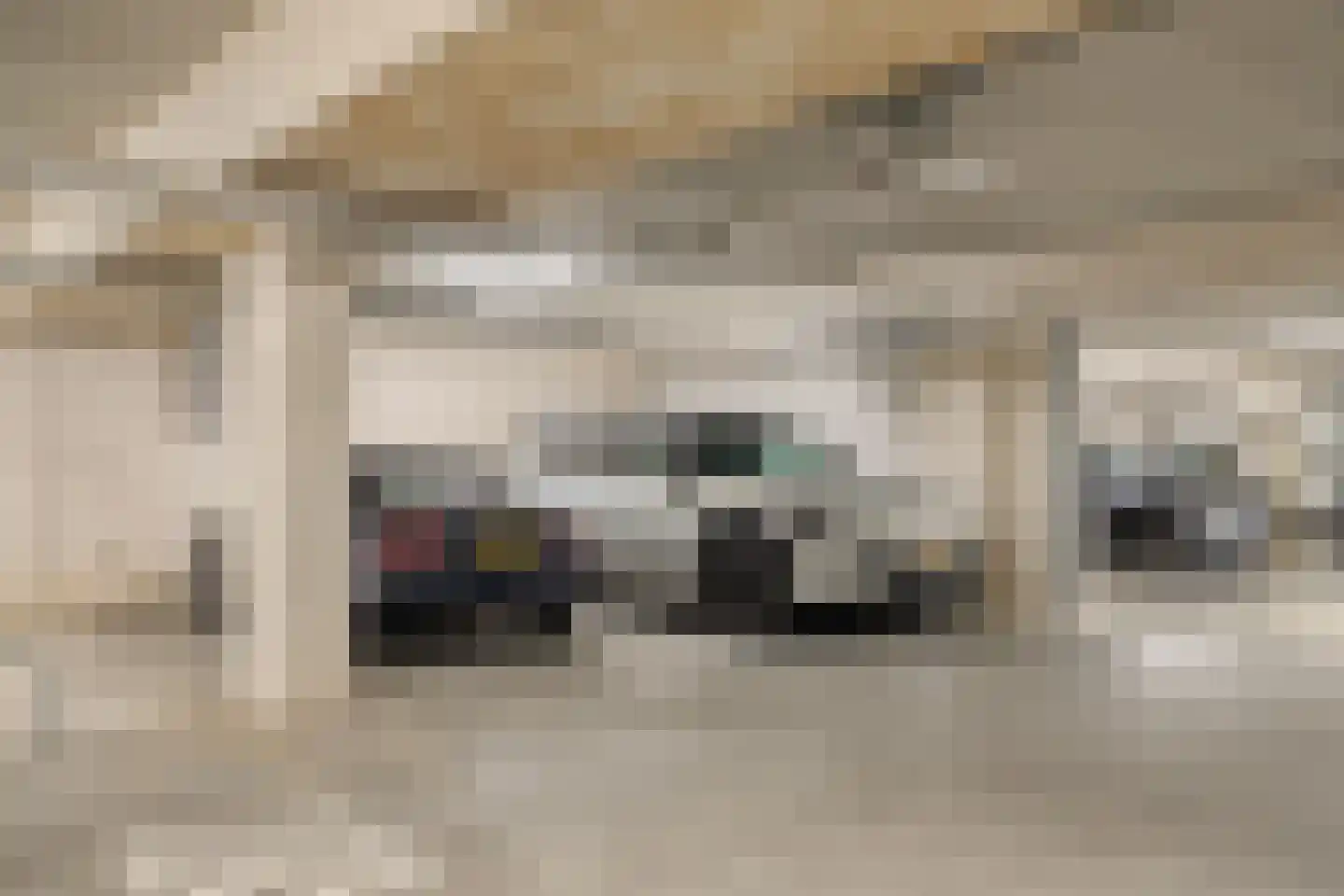 Waterhuis 14 Veenendaal thumbnail 33