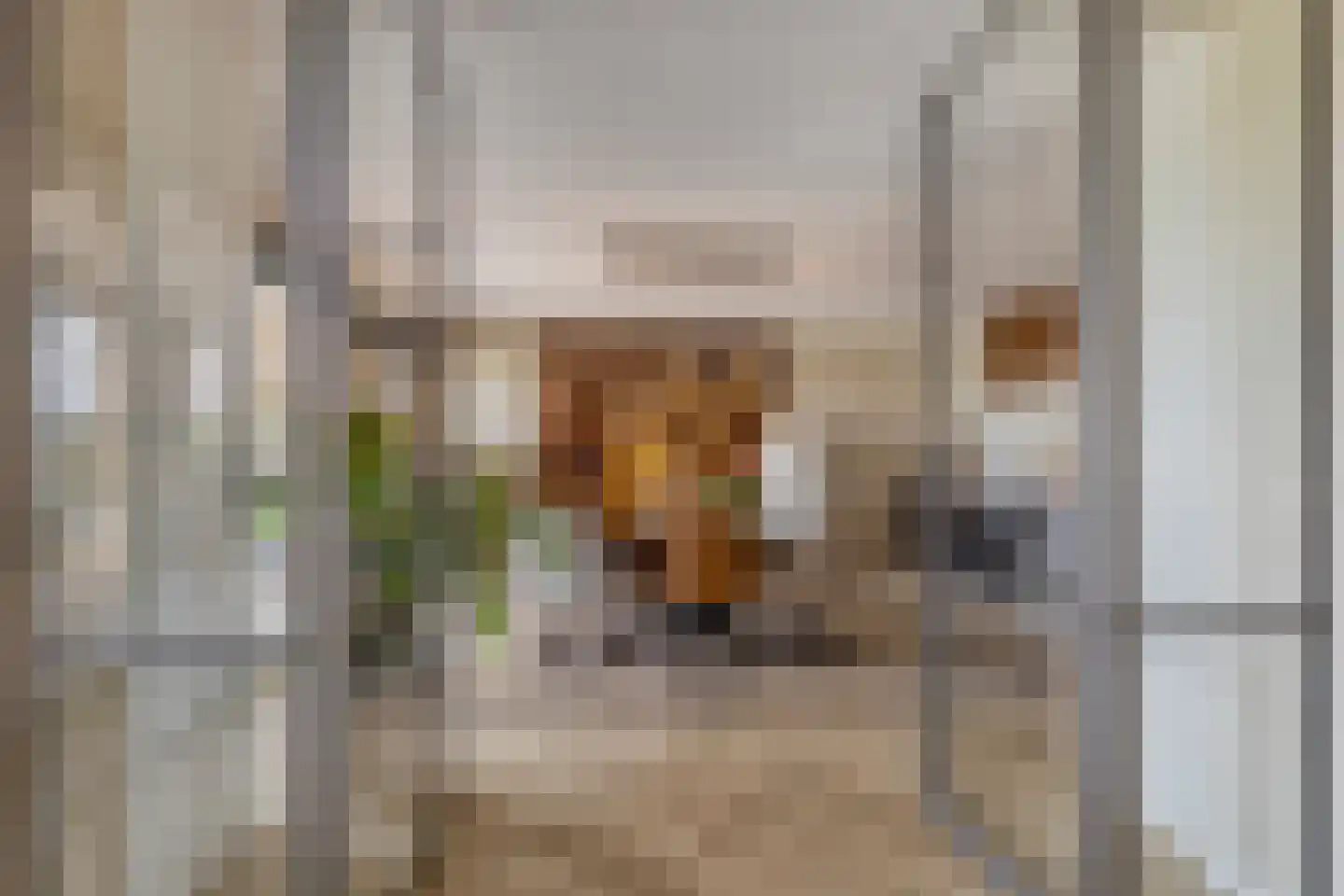 Waterhuis 28 Veenendaal thumbnail 14