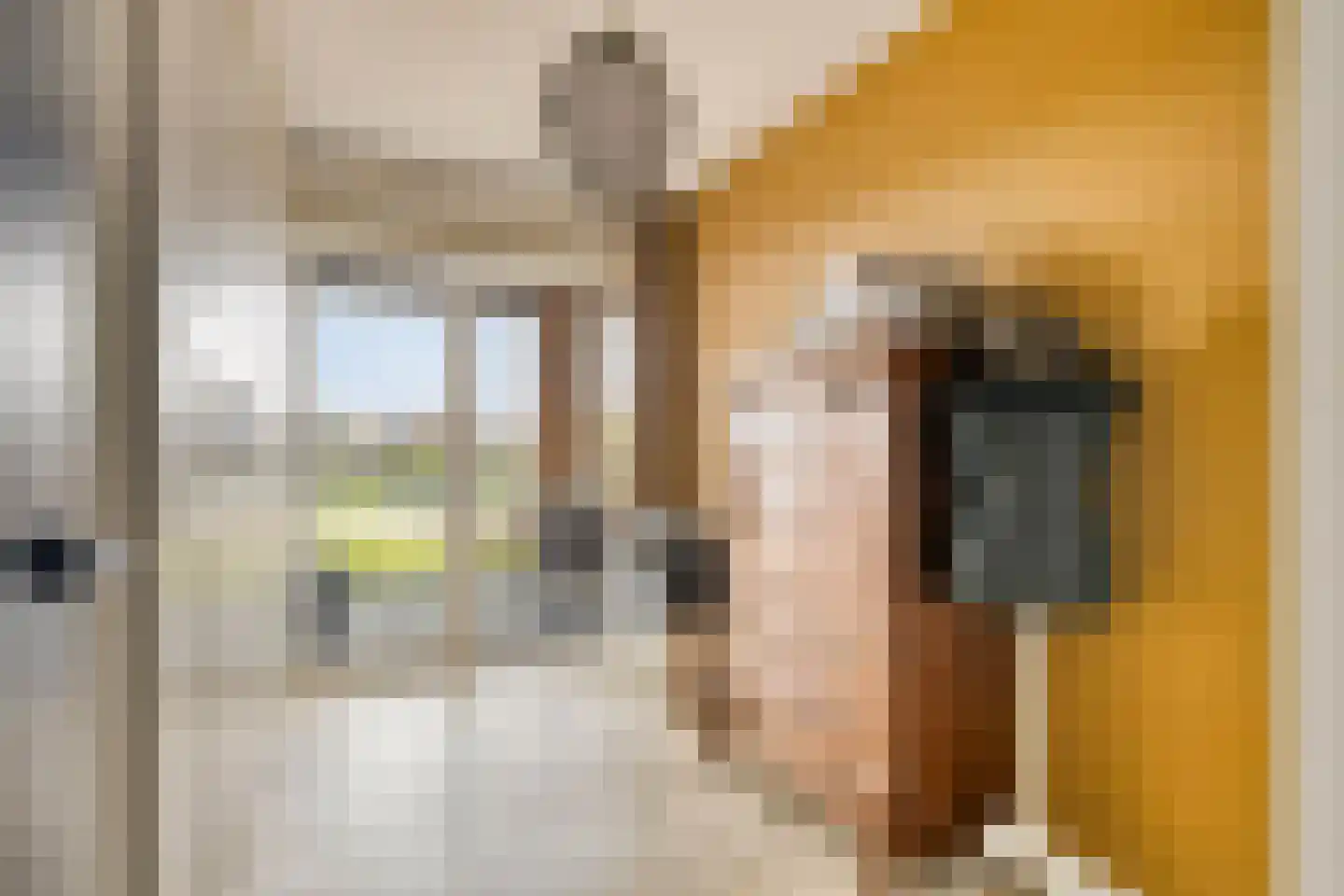 Waterhuis 28 Veenendaal thumbnail 21