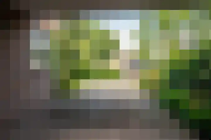 Waterhuizerweg 49 Haren Gn thumbnail 10