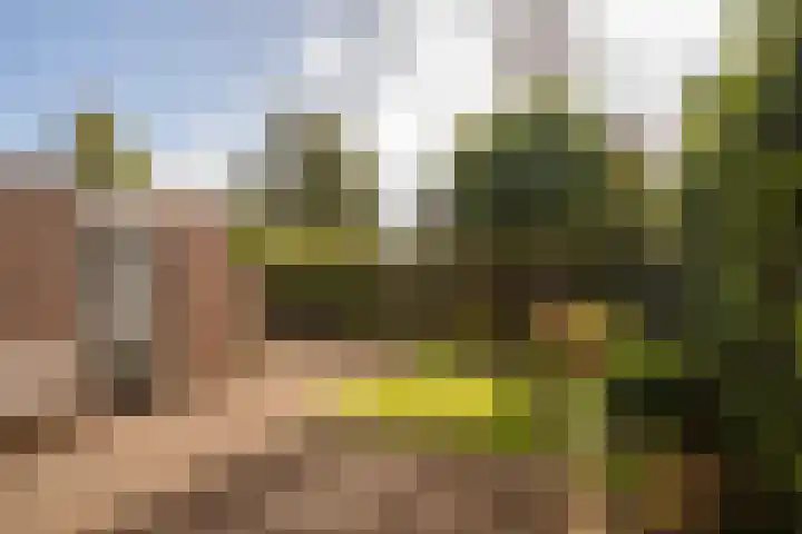 Waterhuizerweg 49 Haren Gn thumbnail 38