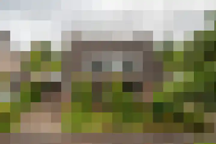 Waterhuizerweg 49 Haren Gn thumbnail 5