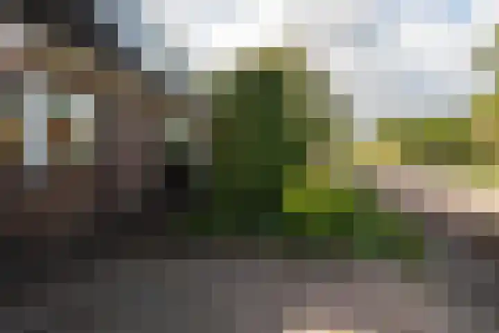 Waterhuizerweg 49 Haren Gn thumbnail 8