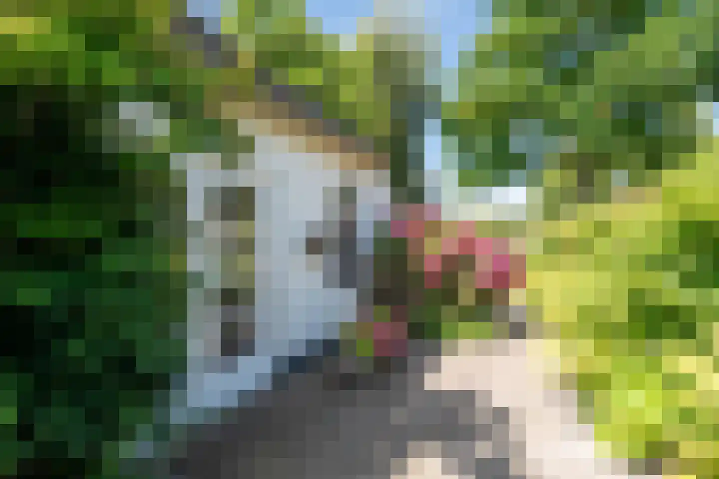Waterhuizerweg 82 Haren Gn thumbnail 64