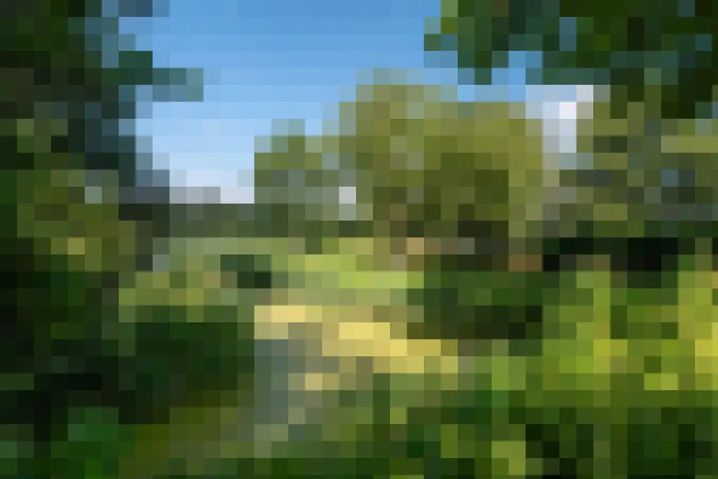 Waterhuizerweg 82 Haren Gn thumbnail 73
