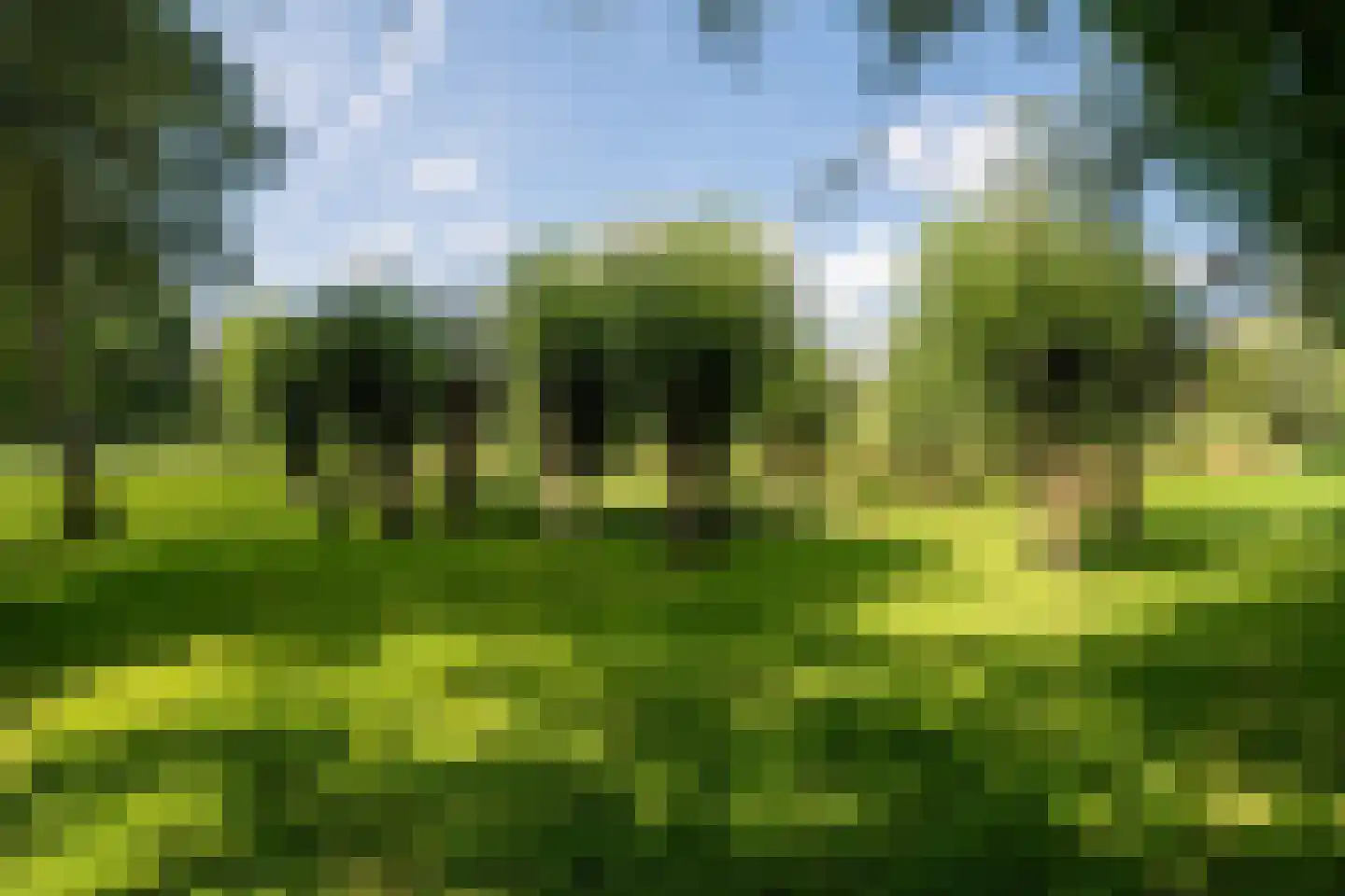 Waterhuizerweg 82 Haren Gn thumbnail 77