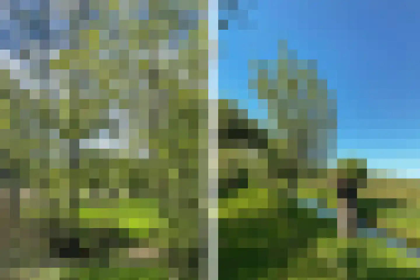 Waterhuizerweg 82 Haren Gn thumbnail 79