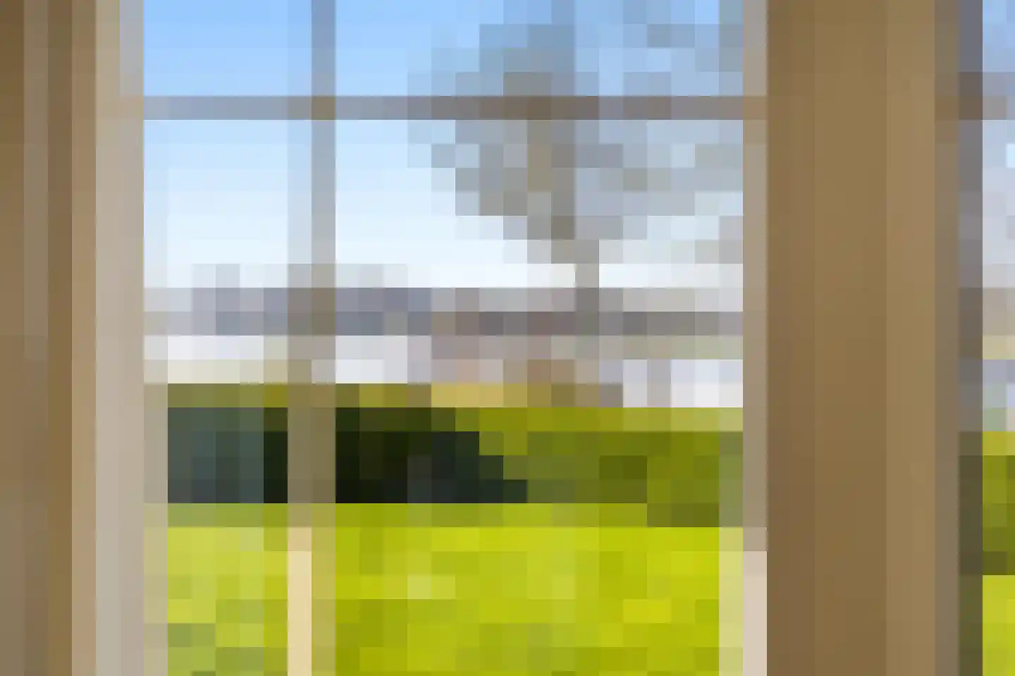 Waterhyacint 17 Terneuzen thumbnail 12