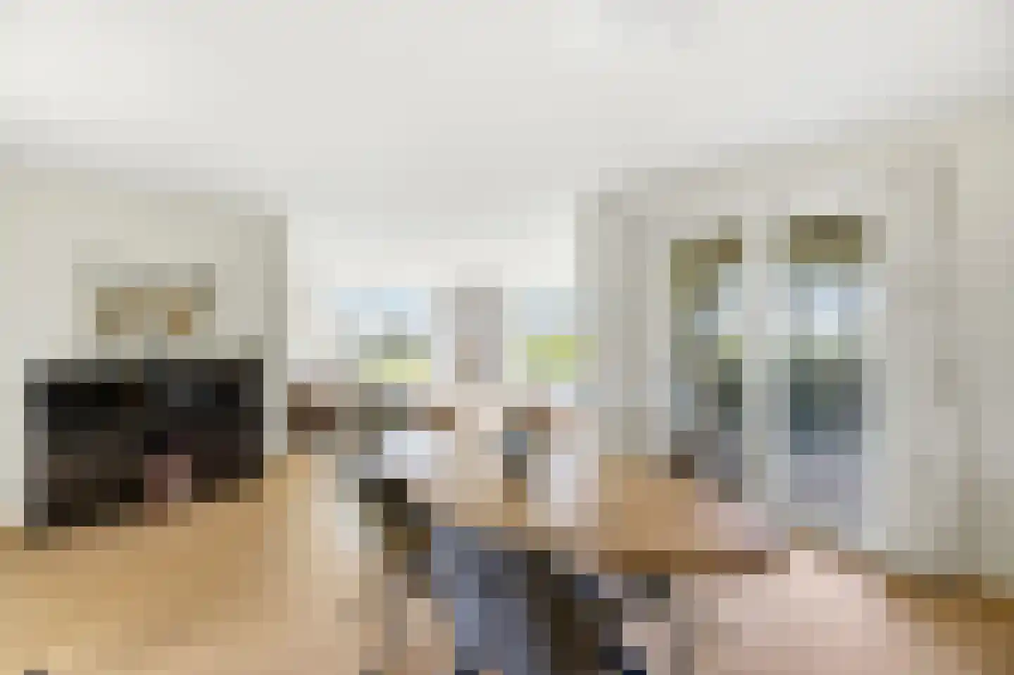 Waterhyacint 17 Terneuzen thumbnail 14