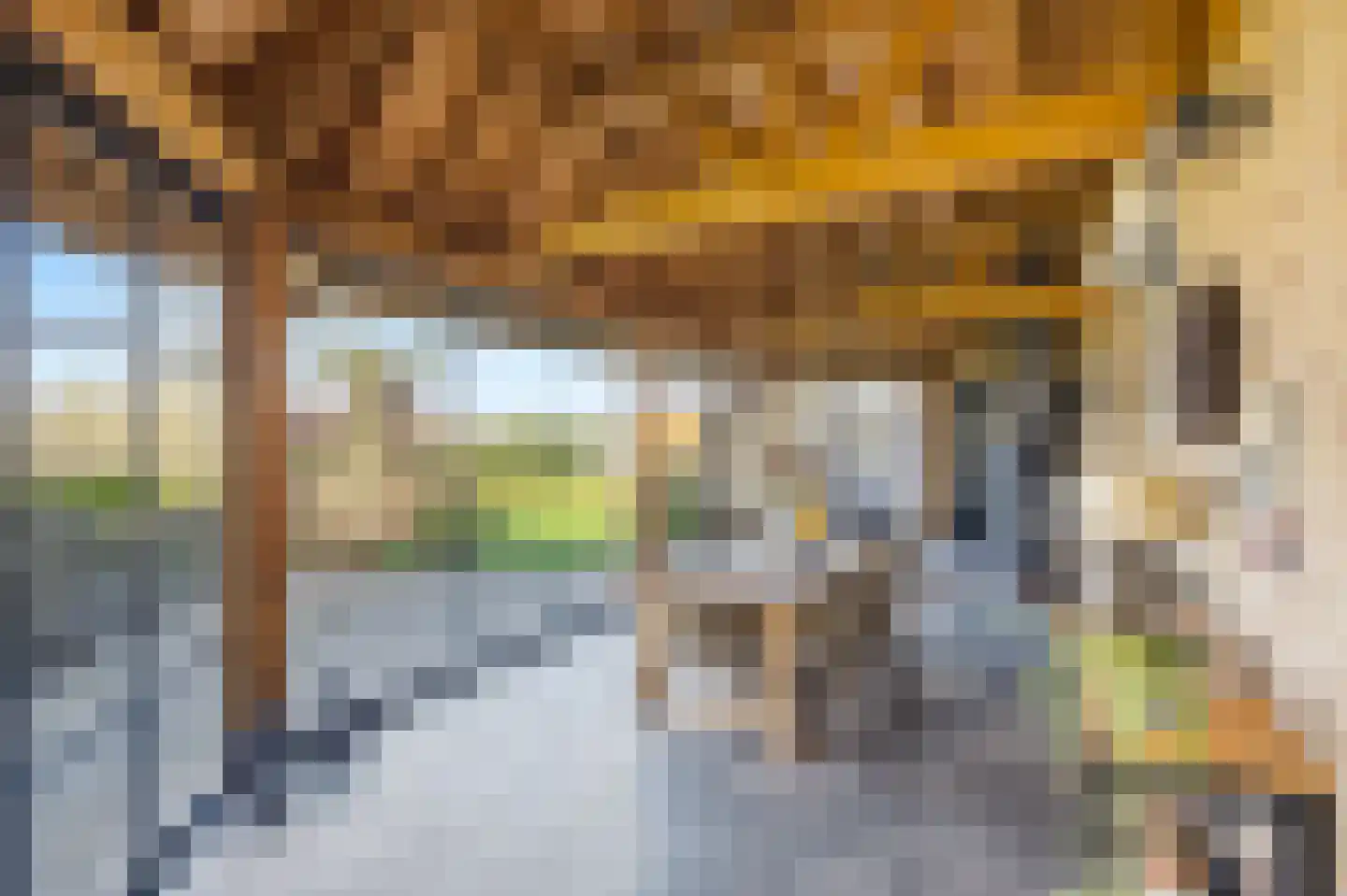 Waterhyacint 17 Terneuzen thumbnail 15