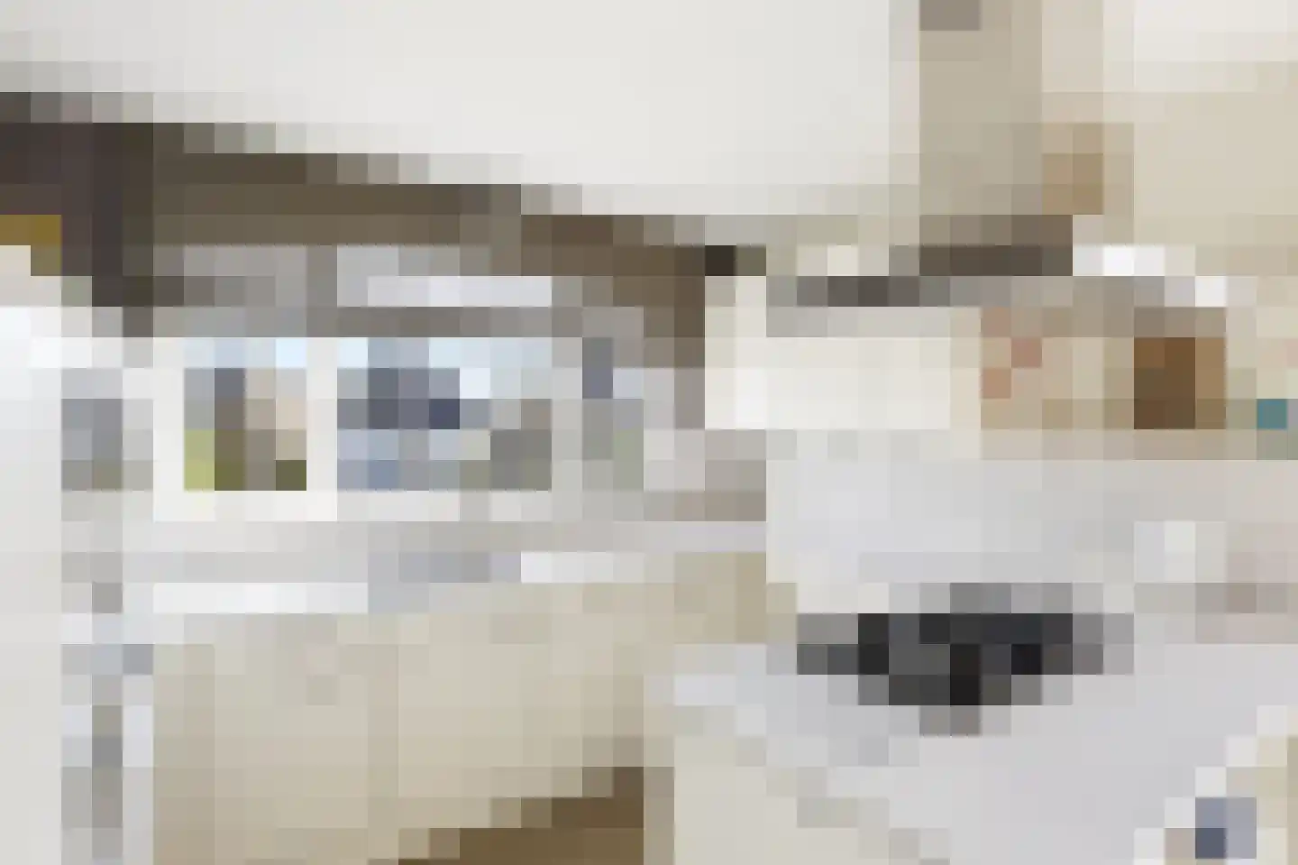 Waterhyacint 17 Terneuzen thumbnail 27