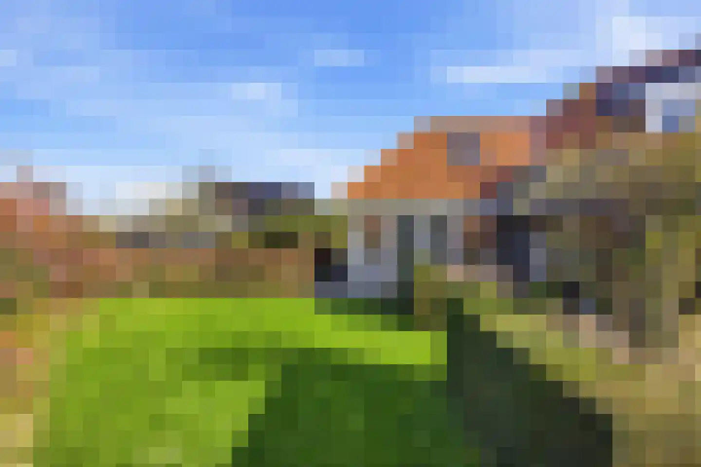 Waterhyacint 17 Terneuzen thumbnail 58