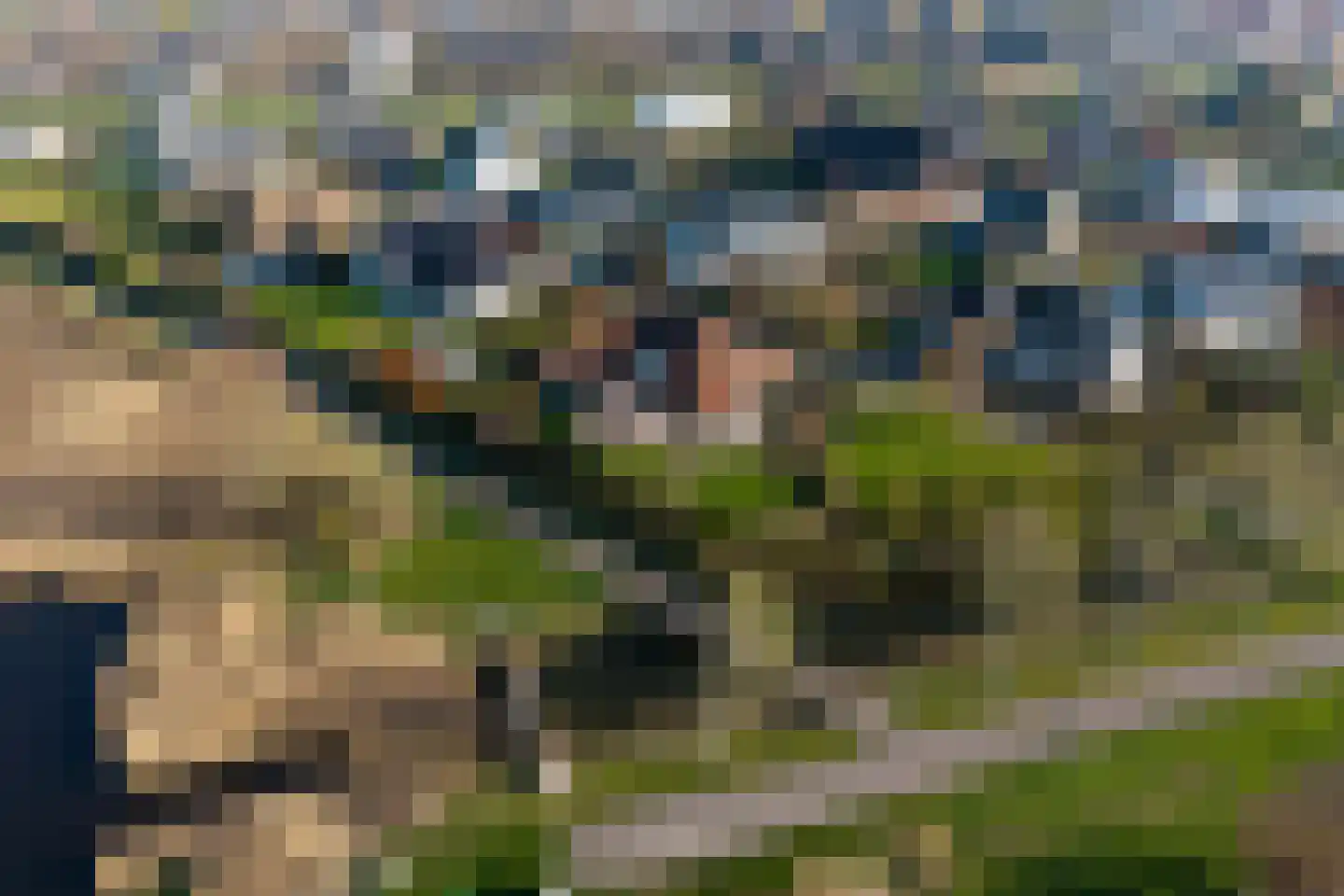 Waterhyacint 17 Terneuzen thumbnail 6