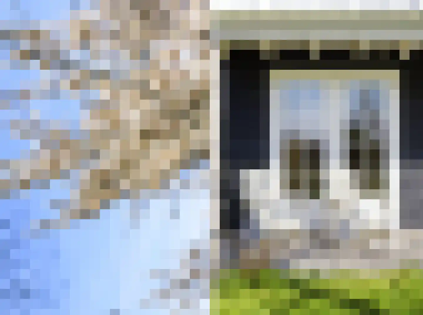Waterhyacint 17 Terneuzen thumbnail 60