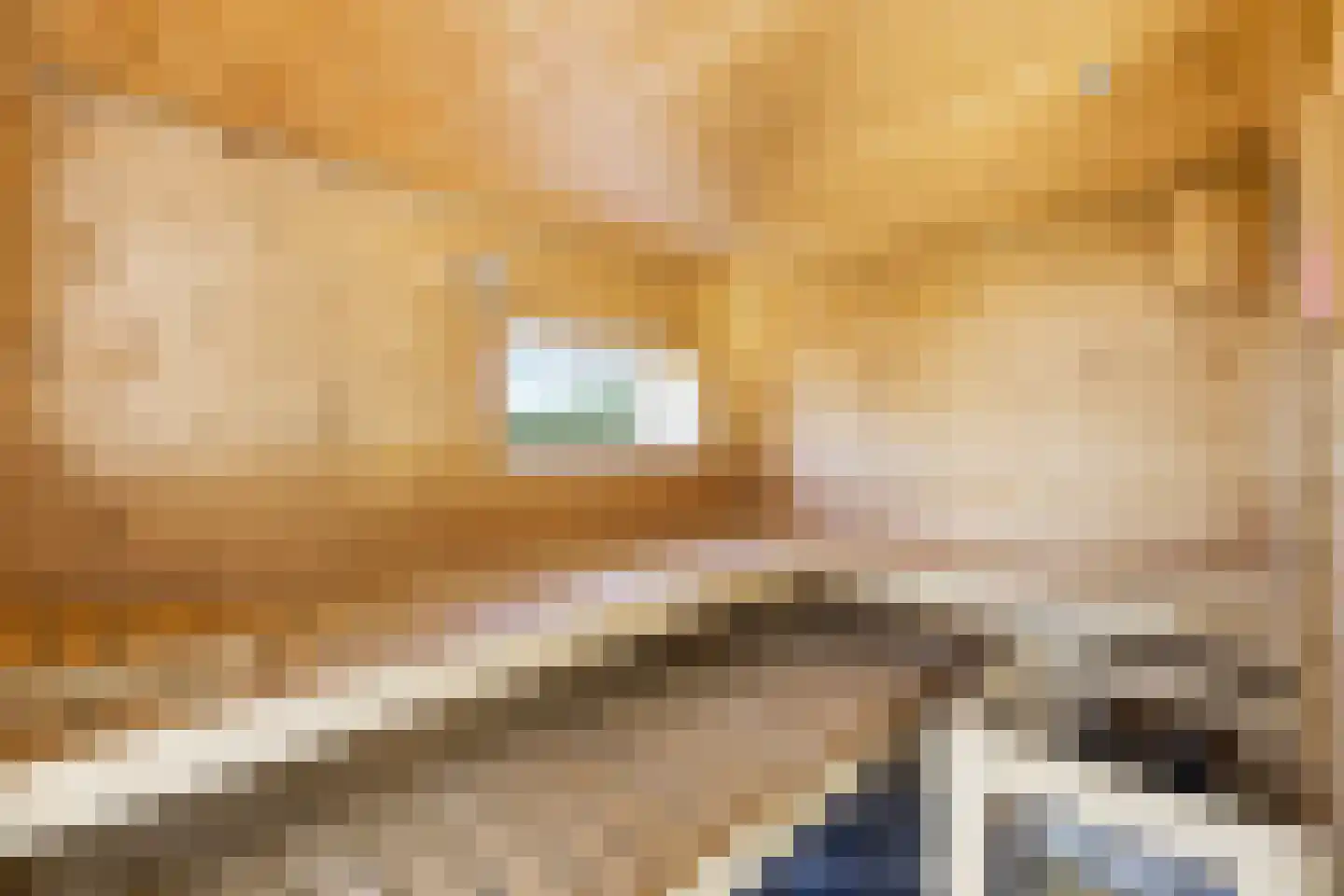 Waterhyacint 17 Terneuzen thumbnail 63