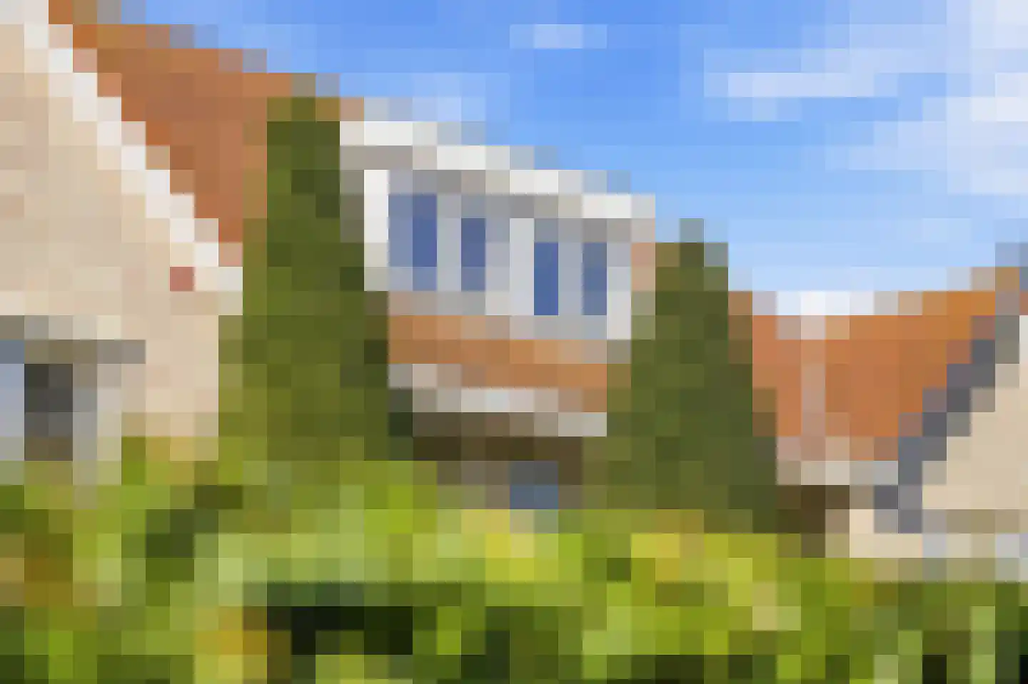 Waterhyacint 17 Terneuzen thumbnail 66