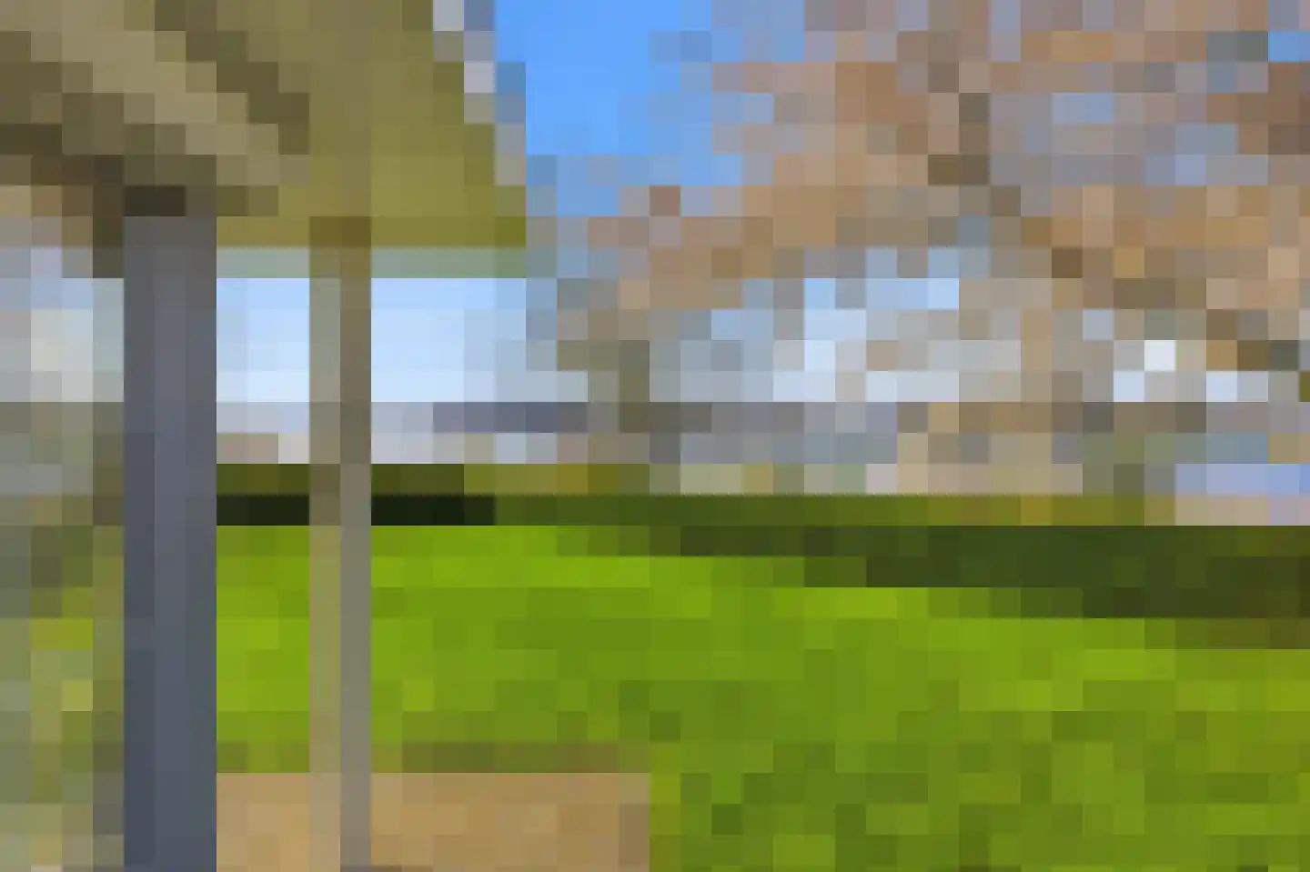 Waterhyacint 17 Terneuzen thumbnail 69