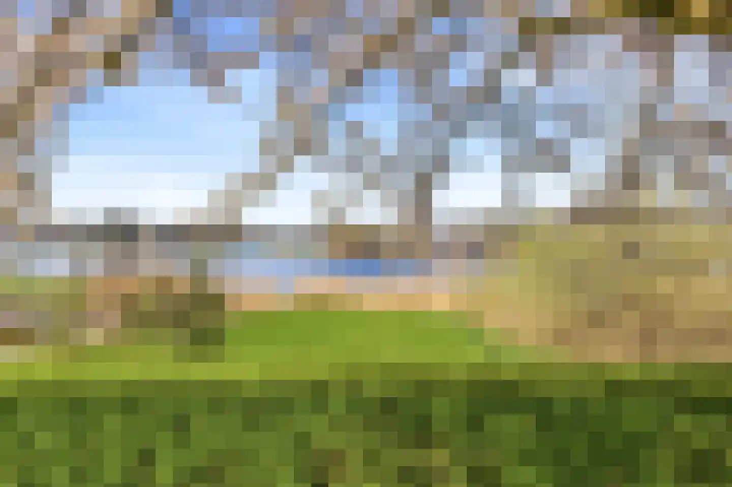 Waterhyacint 17 Terneuzen thumbnail 70