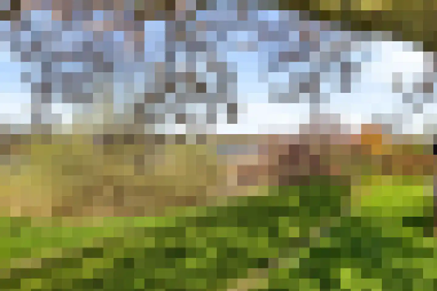 Waterhyacint 17 Terneuzen thumbnail 71