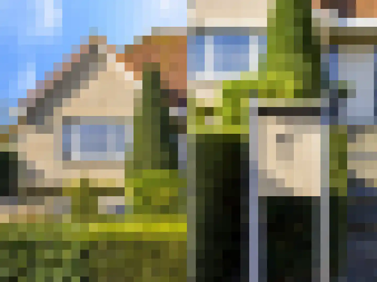 Waterhyacint 17 Terneuzen thumbnail 73