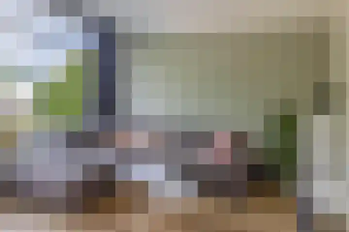 Waterigeweg 11 2 Zeist thumbnail 11