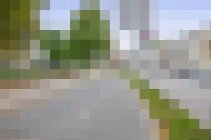 Waterigeweg 11 2 Zeist thumbnail 22