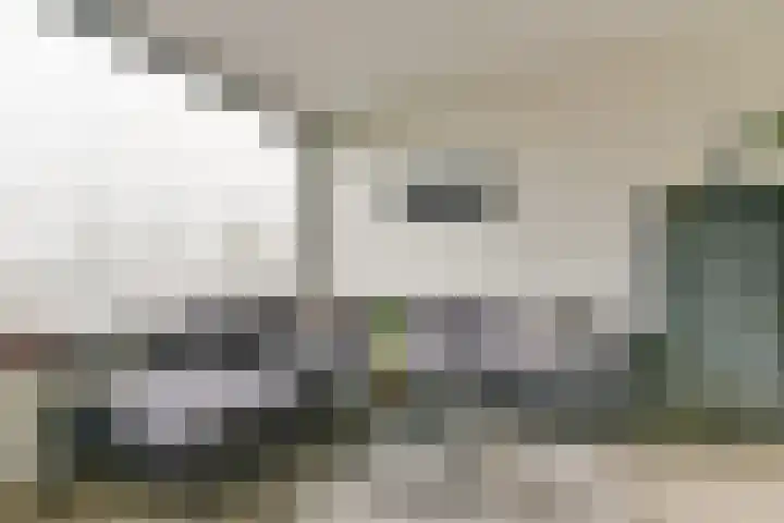 Waterigeweg 11 3 Zeist thumbnail 9