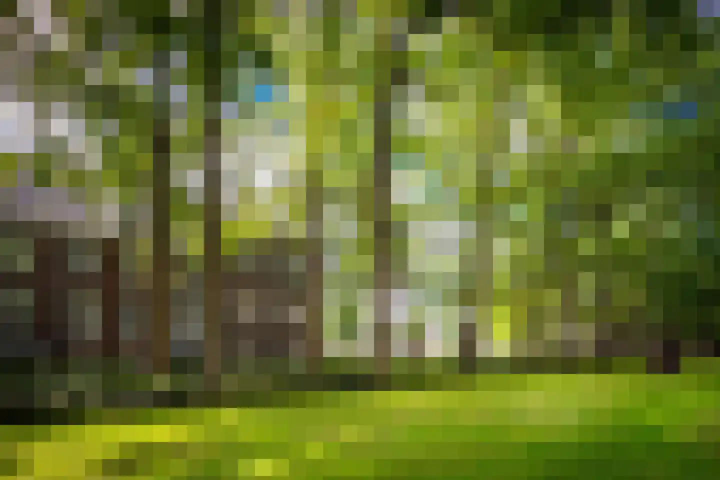 Waterigeweg 15 1 Zeist thumbnail 19