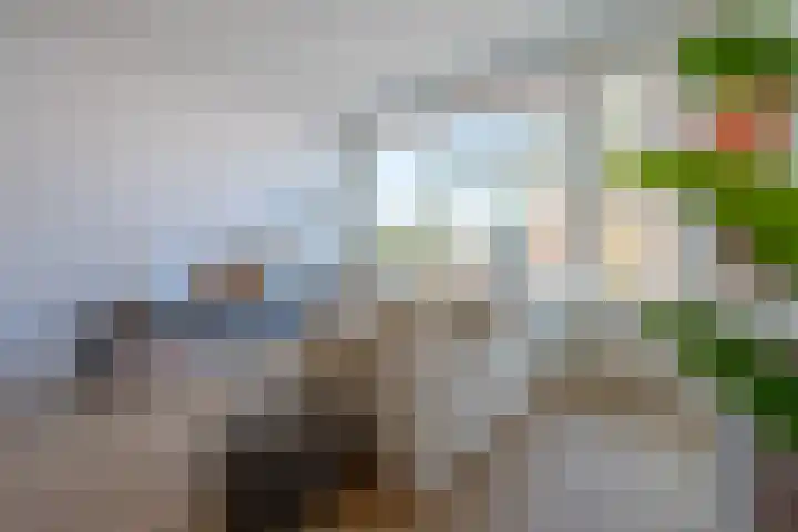 Waterigeweg 17 1 Zeist thumbnail 4