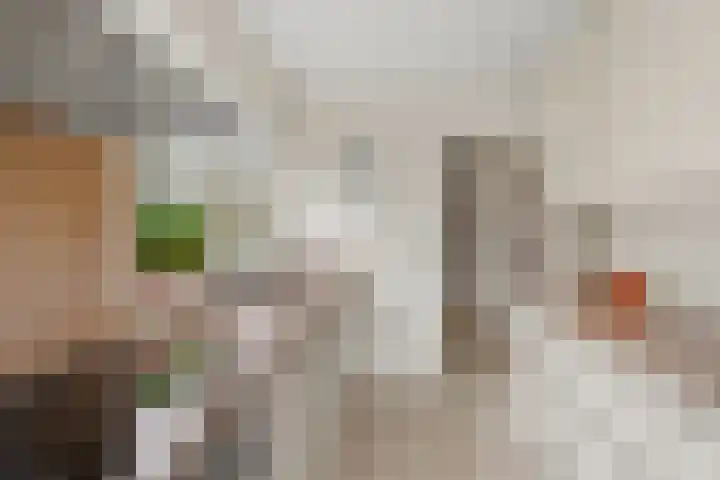 Waterigeweg 44 Zeist thumbnail 19