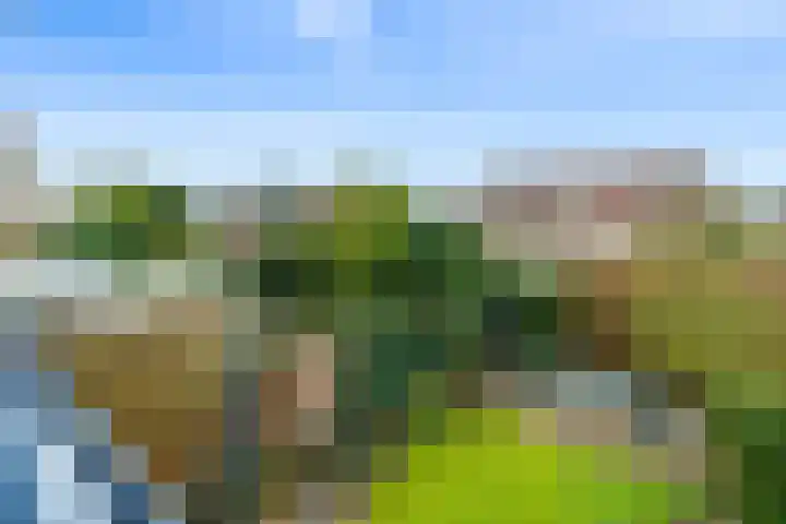 Waterigeweg 44 Zeist thumbnail 31
